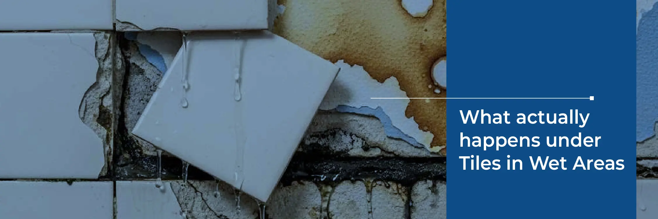 What Actually Happens Under Tiles in Wet Areas