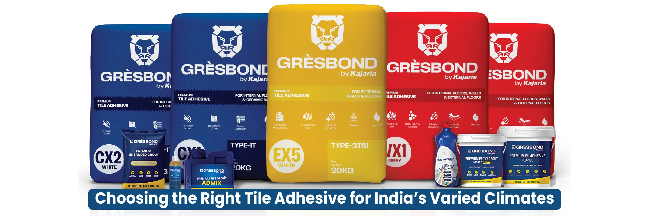 Choosing the Right Tile